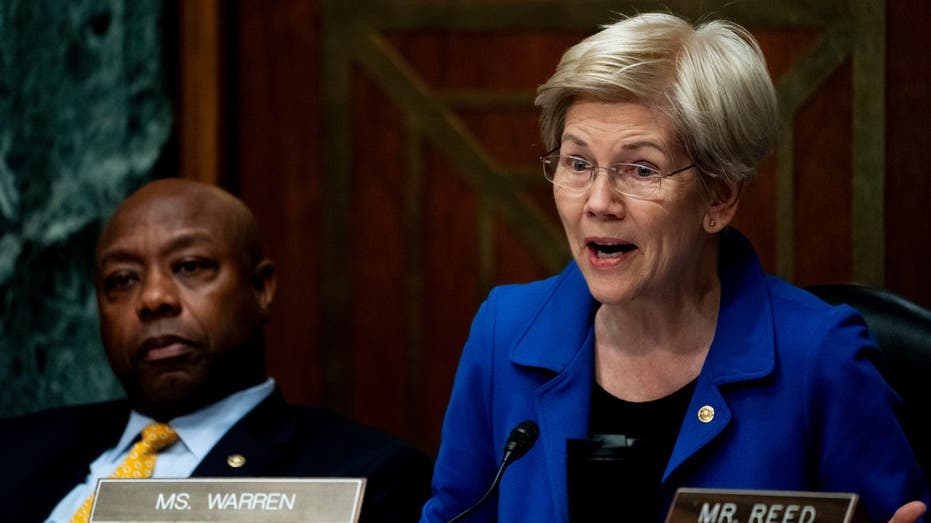 السيناتور إليزابيث وارن