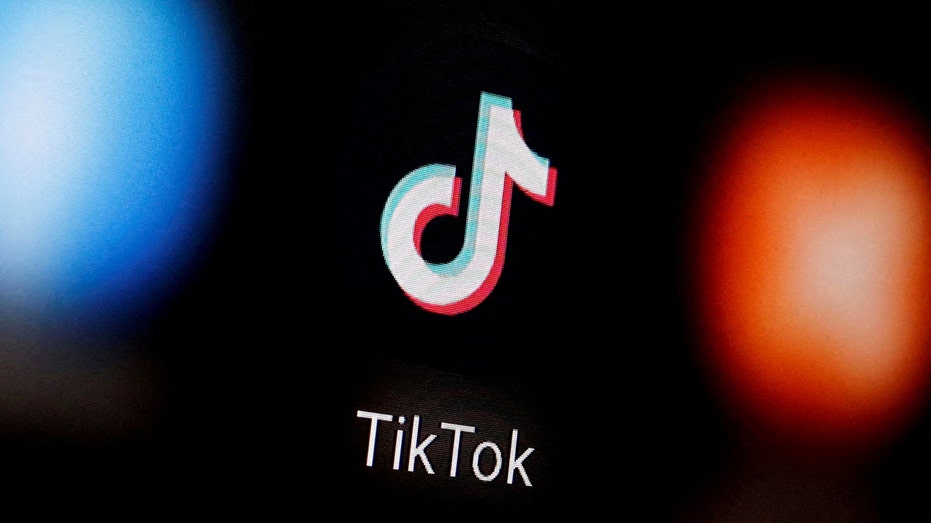 يتم عرض شعار TikTok على الهاتف الذكي في هذا الرسم التوضيحي.