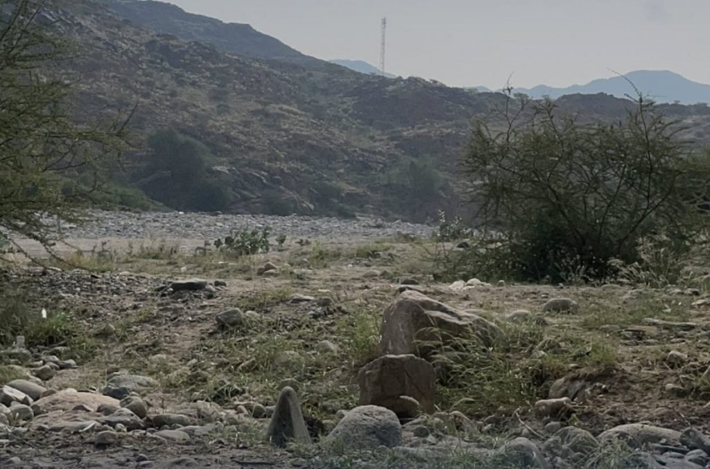 تنبيه من «الدفاع المدني» بشأن التوجه للمناطق البرية