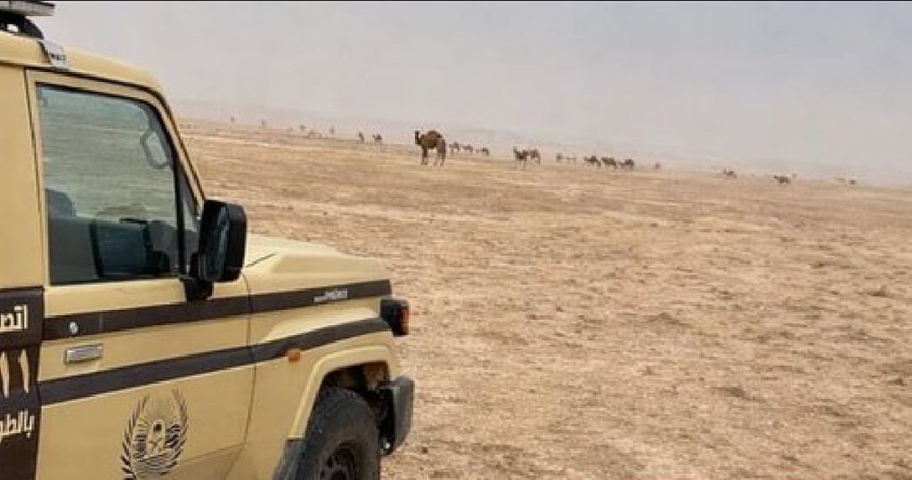 الأمن البيئي يضبط مواطنًا لارتكابه مخالفة رعي في محمية الملك عبدالعزيز