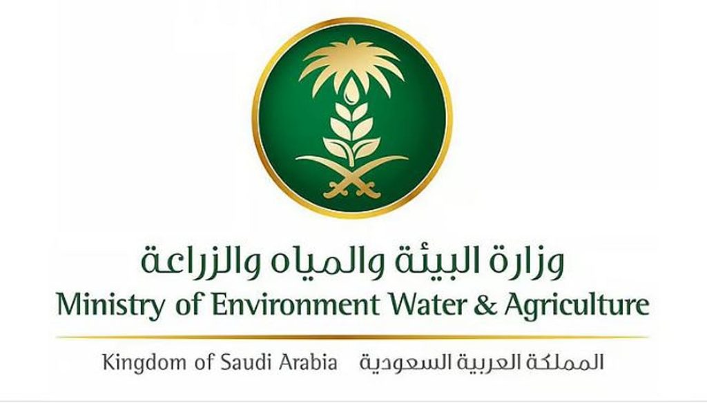 «أم القرى» تنشر قرار نقل مقر اللجنة الدائمة للوقاية من سوسة النخيل الحمراء ومكافحتها