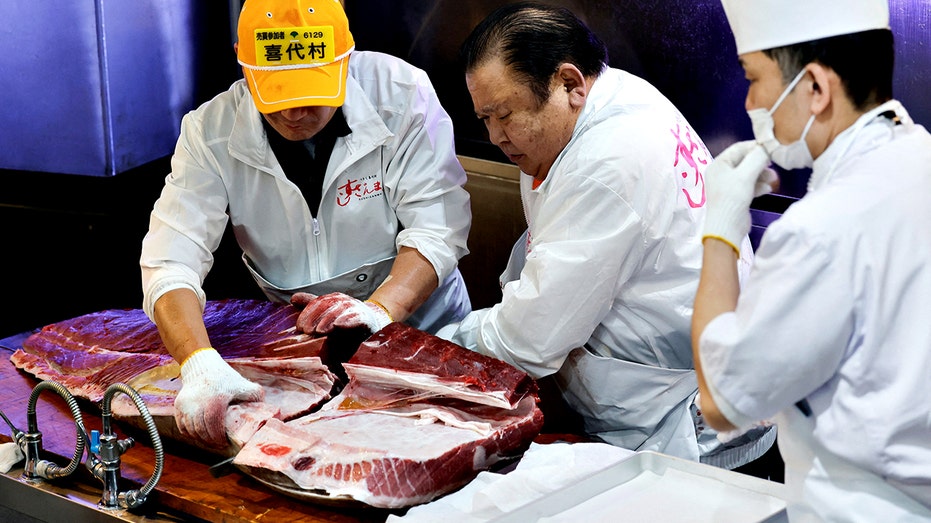 رئيس شركة كيومورا، كيوشي كيمورا، يقطع اللحم من سمكة تونة ذات زعانف زرقاء تزن 243 كيلوغرامًا