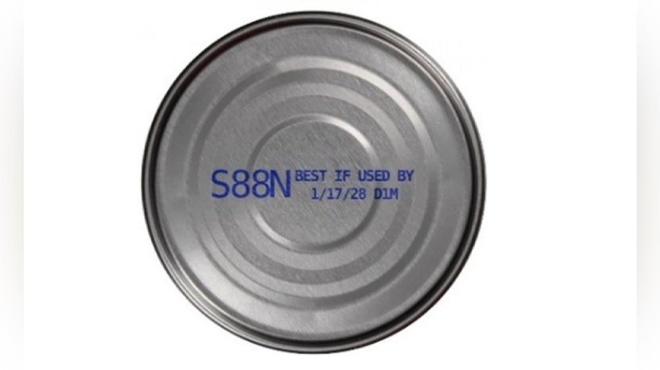 سمكة التونة الصفراء-أذكر-1