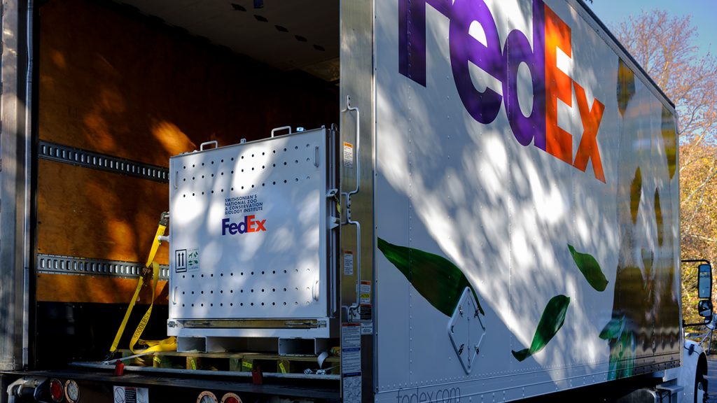 ترفع شركة FedEx دعوى قضائية ضد إدارة ترامب لاسترداد كامل الرسوم الجمركية بعد حكم المحكمة العليا بشأن IEEPA