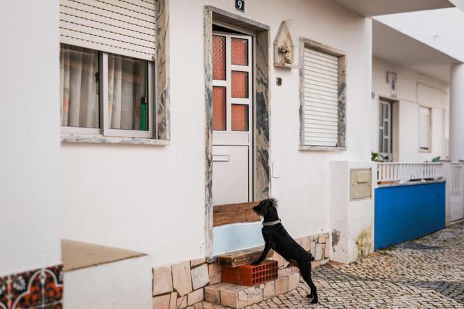 في فيلا فرانكا دي زيرا (البرتغال)، 6 فبراير 2026.