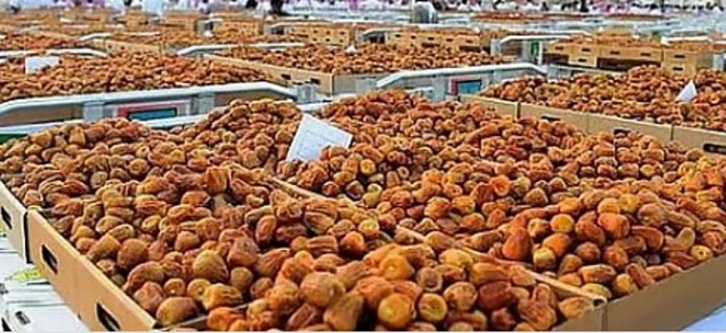 “الشؤون الإسلامية” تسلم هدية خادم الحرمين الشريفين من التمور لجمهوريتي ألمانيا والبرتغال