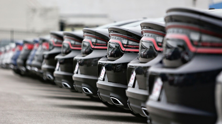 صف سيارات دودج تشارجر