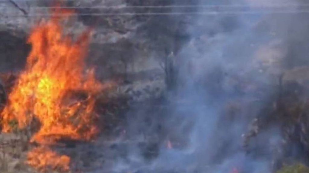 حكومة الشارقة بالإمارات تسيطر على حريق اندلع في منشأة تحتوي على خزانات بترولية