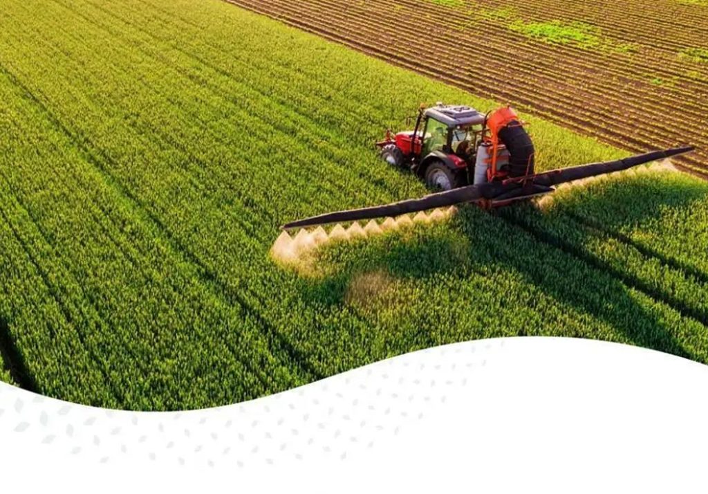 الهيئة العامة للأمن الغذائي ترسي الدفعة الثانية من القمح المستورد لعام 2026