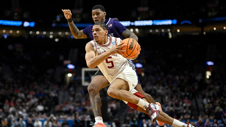 داريوس أكوف جونيور في العمل