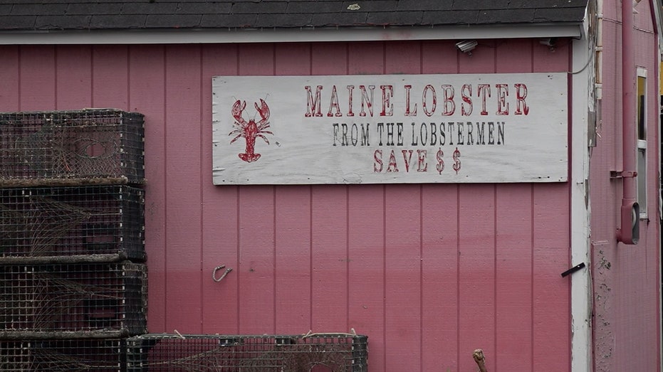 صورة للعلامة