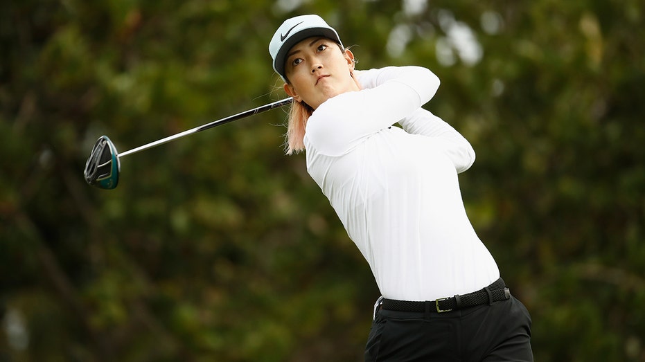 أرجوحة ميشيل وي الغربية