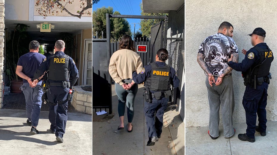 اعتقالات زي الدب