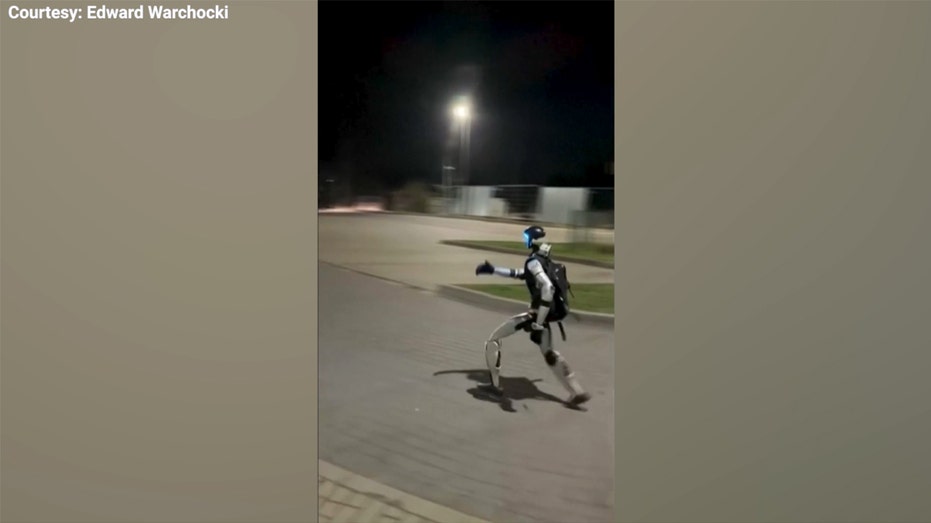 روبوت بشري يطارد الخنازير البرية في فيديو وارسو