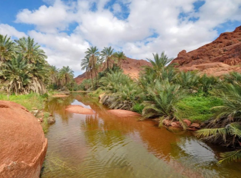 حائل تسجل أكثر من 2.5 مليون زائر خلال عام 2025
