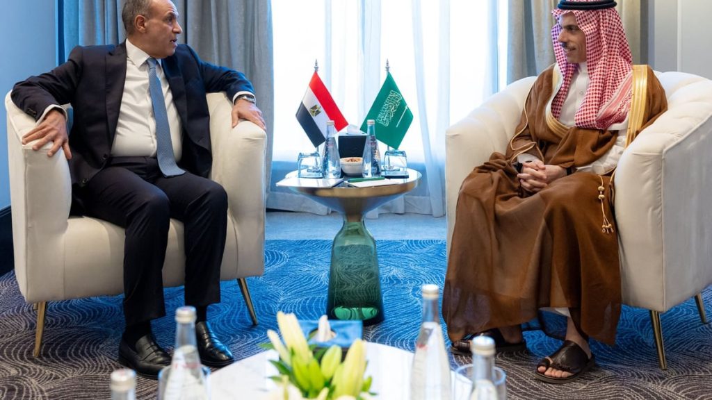 وزير الخارجية يستعرض مجالات التعاون ومستجدات الأوضاع مع نظيره المصري